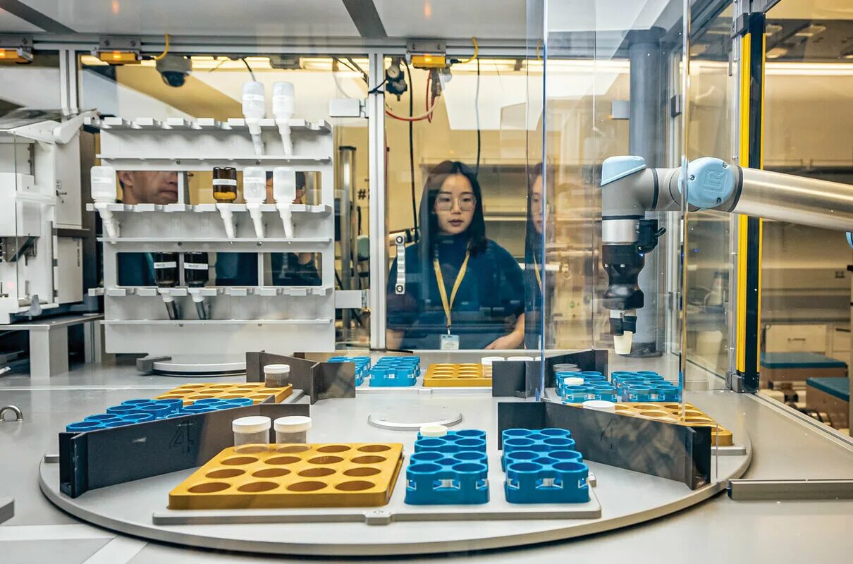 DONUT实时解读材料纳米结构